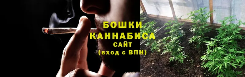 купить  цена  hydra сайт  МАРИХУАНА THC 21%  Новозыбков 